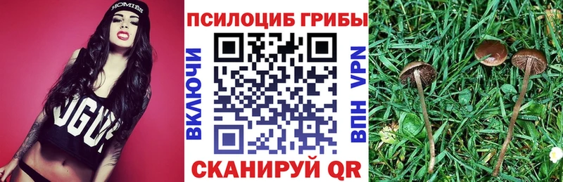 купить  сайты  Славянск-на-Кубани  ссылка на мегу ссылки  Галлюциногенные грибы ЛСД 
