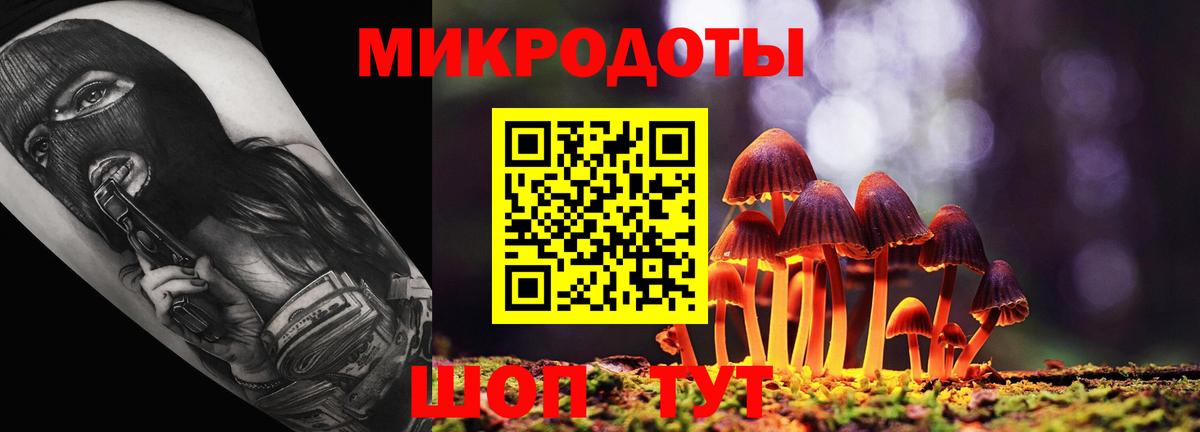 Славянск-на-Кубани  Псилоцибиновые грибы GOLDEN TEACHER  Вход с VPN  Галлюциногенные грибы MAGIC MUSHROOMS 