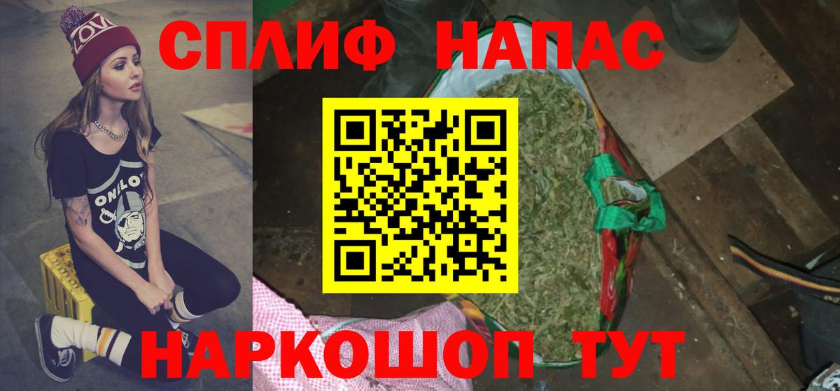 Бошки Шишки гибрид Славянск-на-Кубани